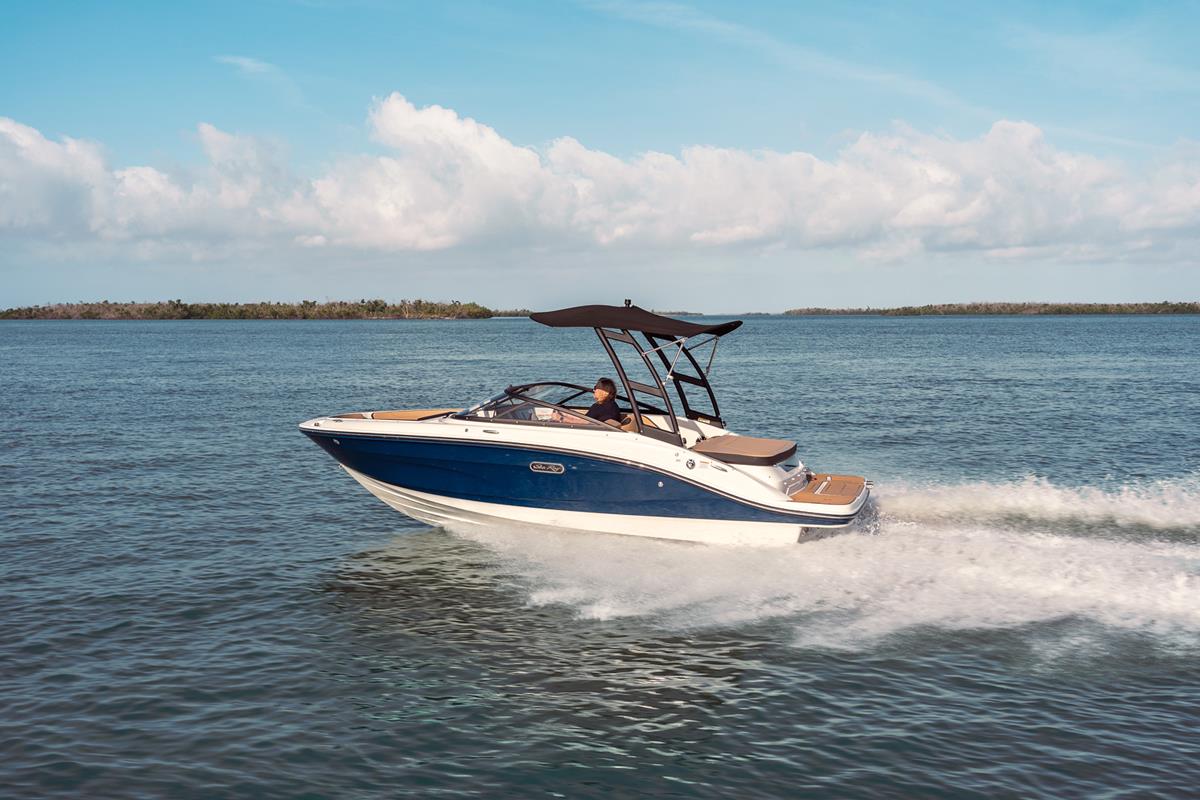 Sea Ray 190 SPX 2020 bij Belgian Boat Service