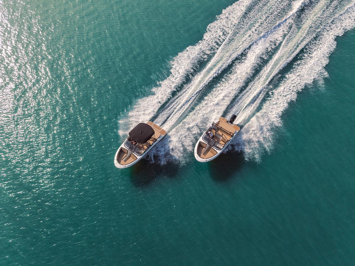 Sea Ray 190 SPX Outboard 2020 bij Belgian Boat Service