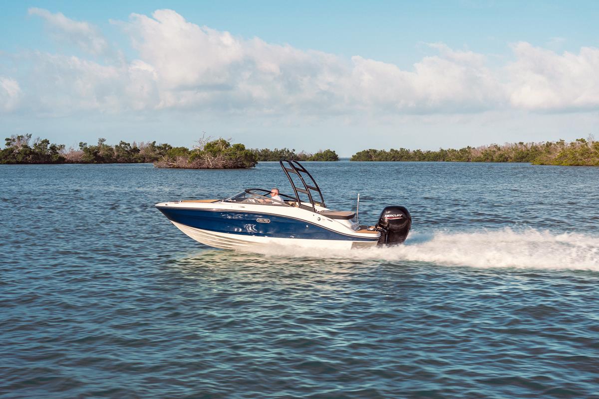 Sea Ray 190 SPX Outboard 2020 bij Belgian Boat Service