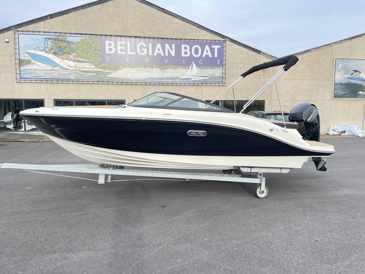 Sea Ray 190 SPX Outboard 2020 bij Belgian Boat Service