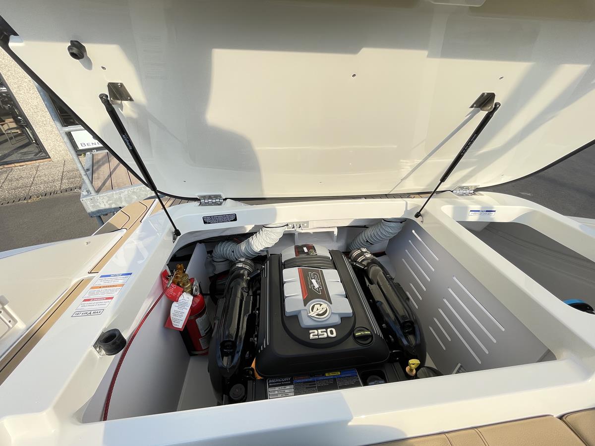 Sea Ray 210 SPX 2020 bij Belgian Boat Service