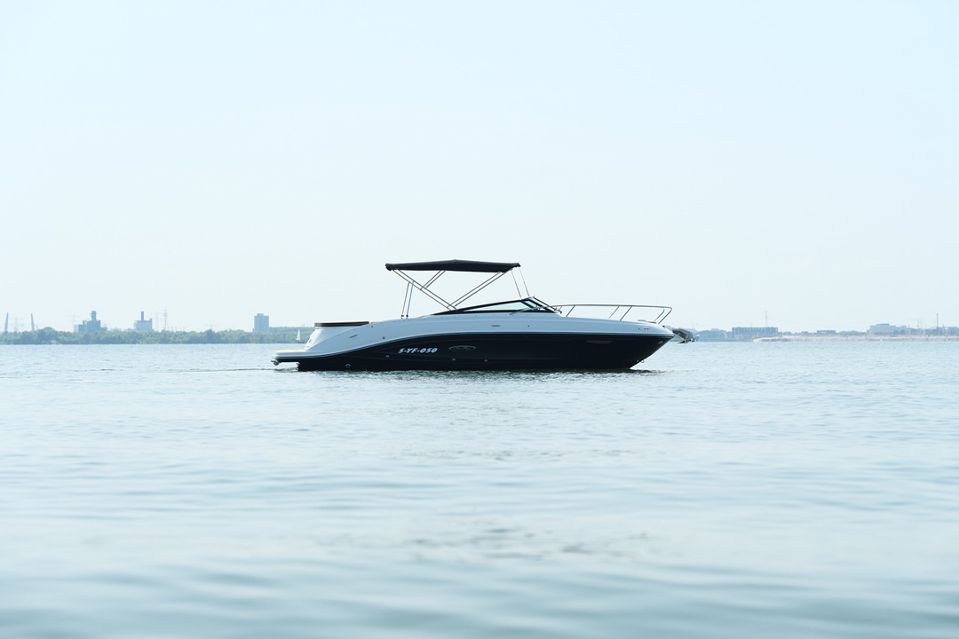 Sea Ray 230 Sunsports 2020 bij Belgian Boat Service