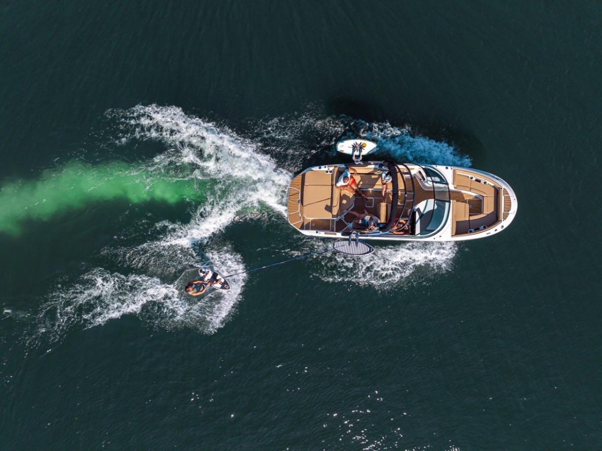 Sea Ray 250 SDS Surf 2020 bij Belgian Boat Service