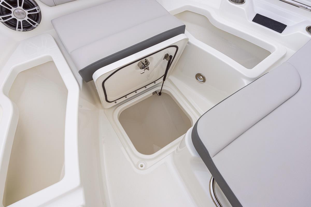 Sea Ray 250 SDX 2020 bij Belgian Boat Service