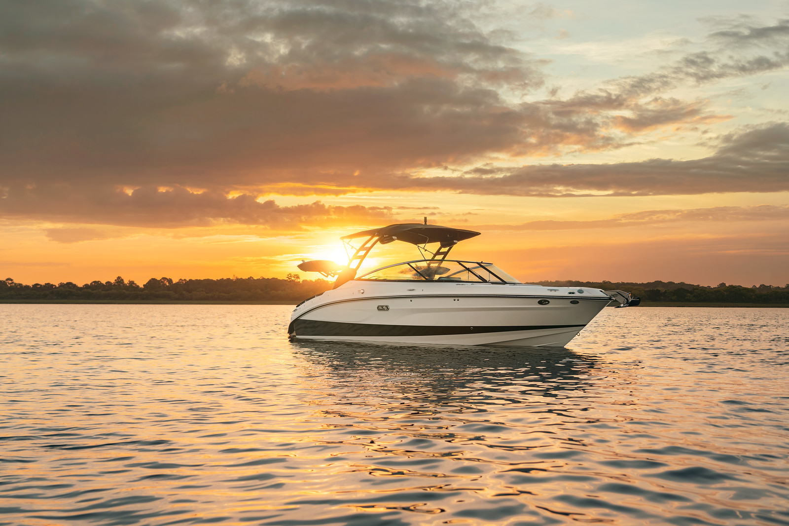 Sea Ray 260 Surf 2020 bij Belgian Boat Service